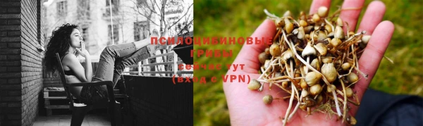 кокс Новодвинск