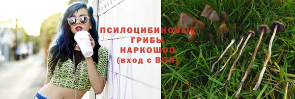 ALPHA-PVP Новозыбков