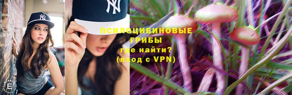 ALPHA-PVP Новозыбков
