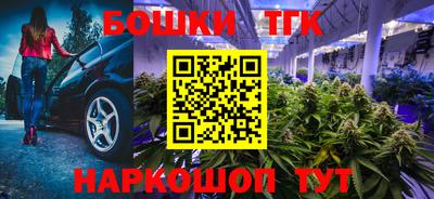 СК Балашиха