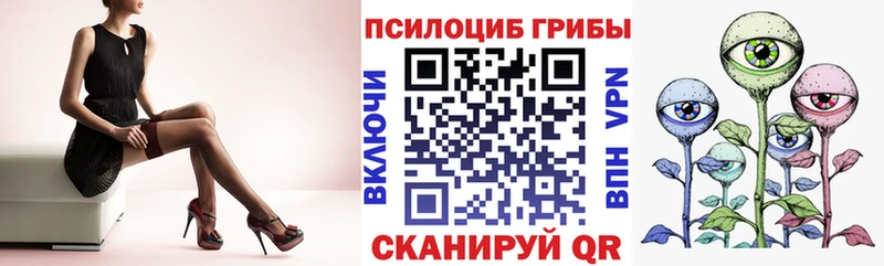 Галлюциногенные грибы Psilocybine cubensis  Краснокамск 
