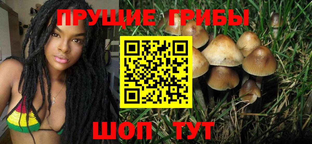 Галлюциногенные грибы Psilocybine cubensis Краснокамск