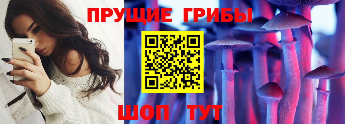 Галлюциногенные грибы Psilocybe  Галлюциногенные грибы Psilocybe  Вход с VPN  Краснокамск 
